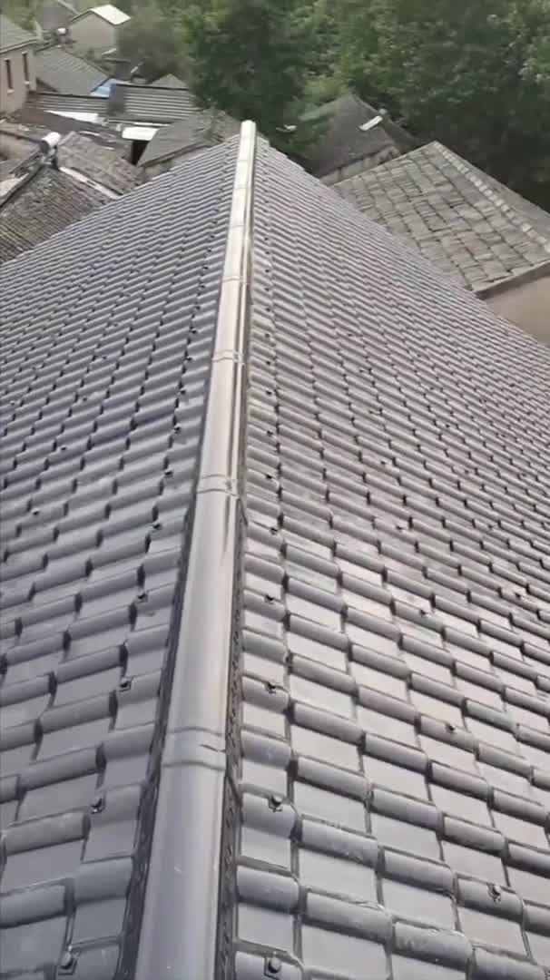 Rooftop Close-Up