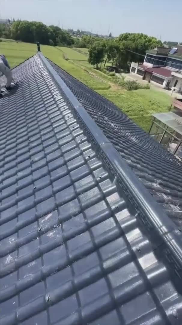 Ridge Line Detail